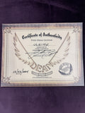Dean USA Thorobred custom shop Lizardburst