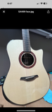 Furch limited edition 2024 Dreadnaught 
#1