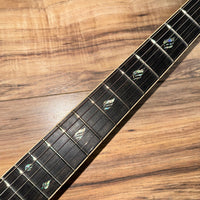 Dean USA Thorobred custom shop Lizardburst