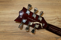 ESP LTD EC 256 FM in Vintage Natural Flame top