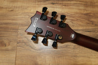 EC1001 T FM TGE Tiger Eye
