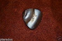 Timber Tones NEW Stub Tones Guitar Pick Coconut Husk