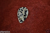 Timber Tones NEW Prism Tones Guitar Pick Dalmation Jasper Stone