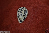 Timber Tones NEW Prism Tones Guitar Pick Dalmation Jasper Stone