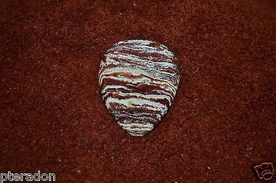 Timber Tones NEW Prism Tones Guitar Pick White Stripe Jasper Stone