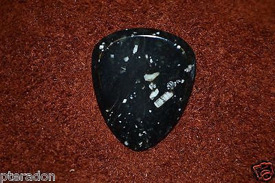 Timber Tones NEW Lava Tones Snowflake Obsidian Guitar Pick