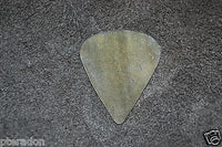 Timber Tones Flexi Tones Sharp Shape Clear Buffalo Horn Flexible Pick