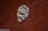 Timber Tones NEW Prism Tones Guitar Pick White Stripe Jasper Stone