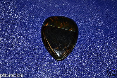 Timber Tones Tiger Tones, Blue Tiger Eye Guitar pick