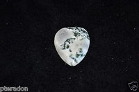 Timber Tones Agate Tones, Tree Agate Guitar pick