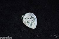 Timber Tones Agate Tones, Tree Agate Guitar pick