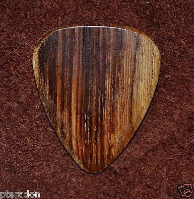 Timber Tones II Exotic Wood Guitar Pick Sugar Maple