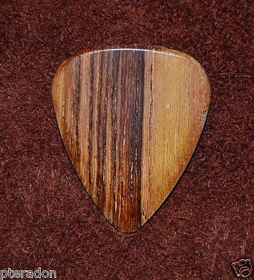 Timber Tones II Exotic Wood Guitar Pick Pale Moon Ebony