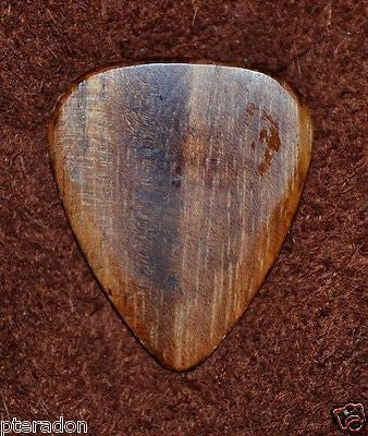 Timber Tones II Exotic Wood Guitar Pick Mimosa