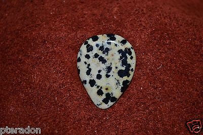 Timber Tones NEW Prism Tones Guitar Pick Dalmation Jasper Stone