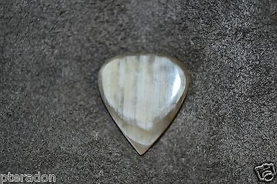 Timber Tones Jazz Tones Fat Buffalo White Horn Guitar Pick