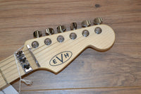 EVH Striped Series Black and White