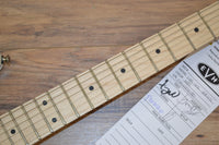 EVH Striped Series Black and White