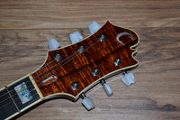 Carlino Inertia II Custom Model