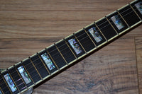 Carlino Inertia II Custom Model