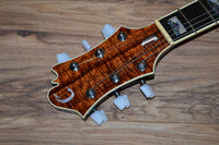 Carlino Inertia II Custom Model