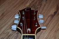 Carlino Inertia II Custom Model
