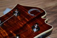 Carlino Inertia II Custom Model