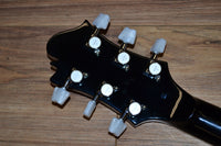 Carlino Inertia II Custom Model