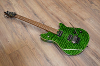 EVH Standard Quilt Top 2022 - Trans Green