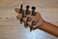 EVH WOLFGANG® WG STANDARD Gold Sparkle8885241283