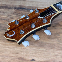 Carlino 2020 Inertia II Custom