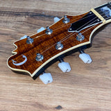 Carlino 2020 Inertia II Custom