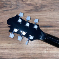 Carlino 2020 Inertia II Custom