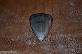 Timber Tones Complete Hard Level Exotic Wood 6 pack Pick Set, standard series
