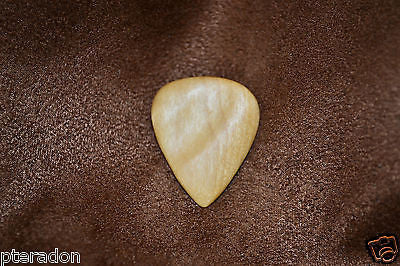 Timber Tones Groovy Tones Katrafay Guitar Picks